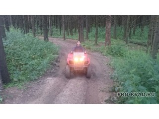 Прокат квадроциклов