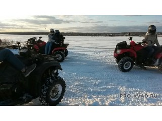 Прокат квадроциклов
