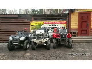 Прокат квадроциклов