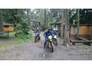 Прокат питбайков