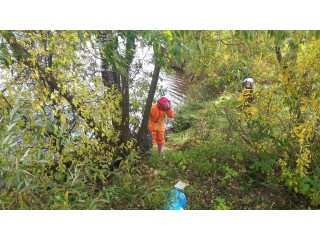 Квадро квест