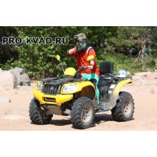 Квадробиатлон